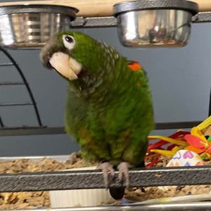 Meet your Posher, Wendy